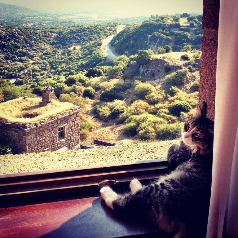 Assos Alarga Otel Dış mekan fotoğraf